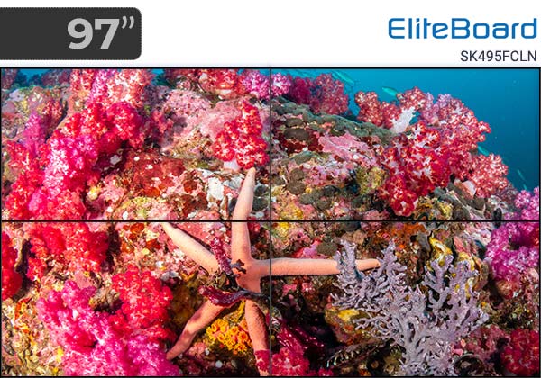 Видеостена 2x2 Eliteboard SK495FCLN.